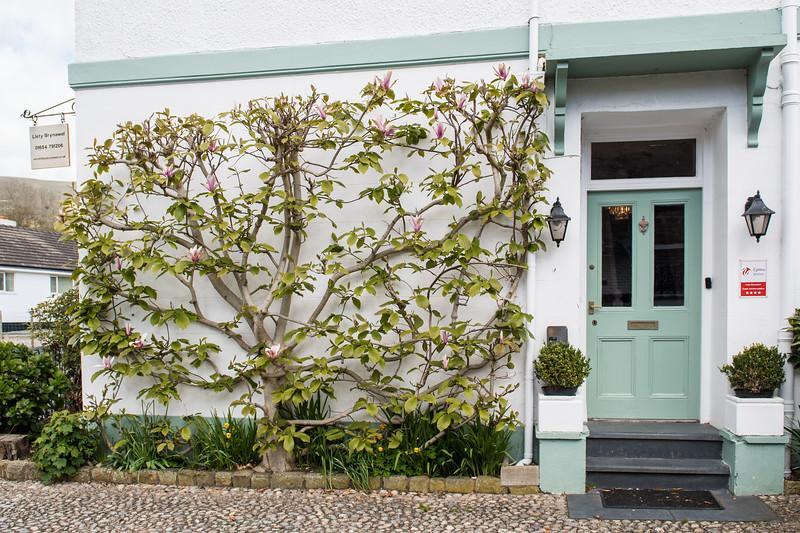 Llety Brynawel Guest House Pennal Extérieur photo